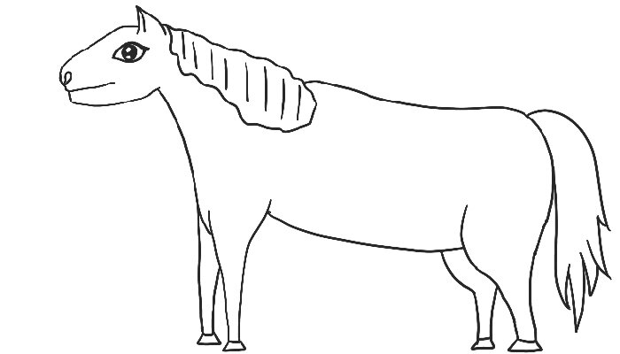 4.JPG