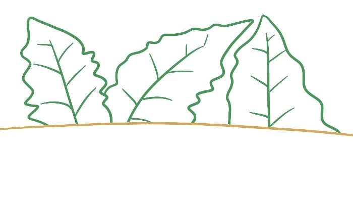 2.JPG