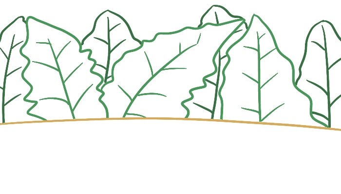 3.JPG