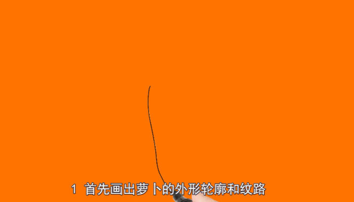 2020-12-29_114117.JPG