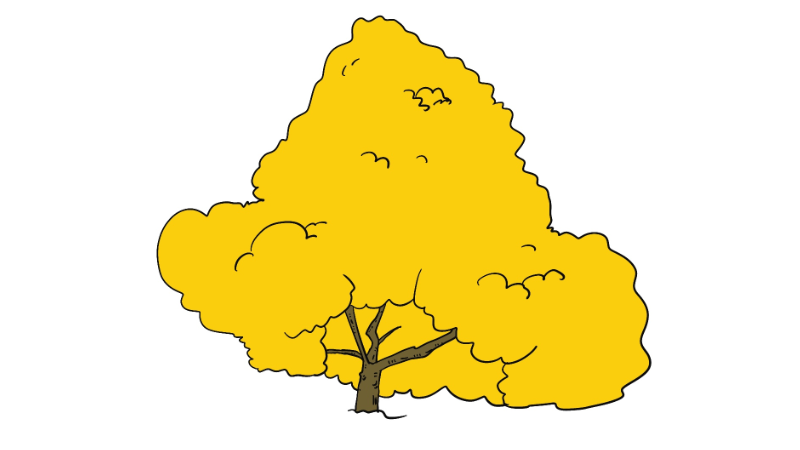 黄掉的树木简笔画 黄掉的树木简笔画怎么画
