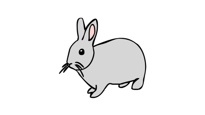 兔子怎么画 兔子简笔画画法