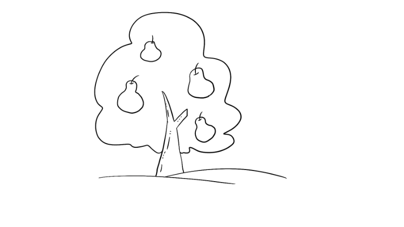 梨树怎么画简单图片