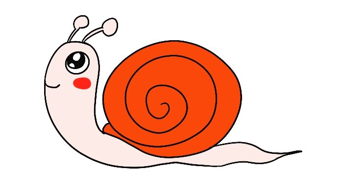 蜗牛壳简笔画彩色图片