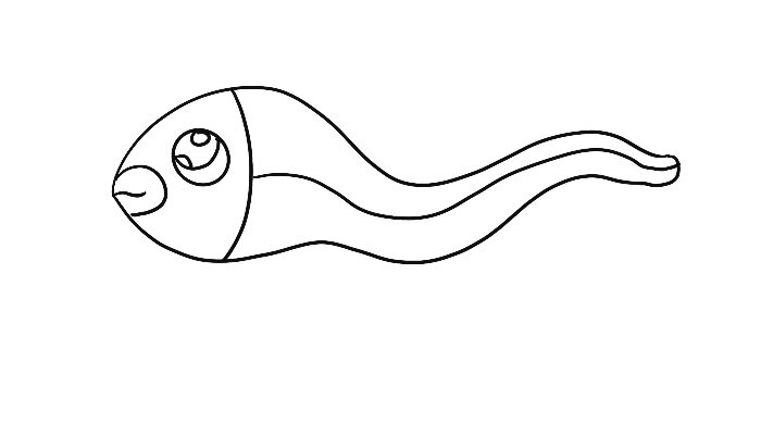 电鳗简笔画可爱图片