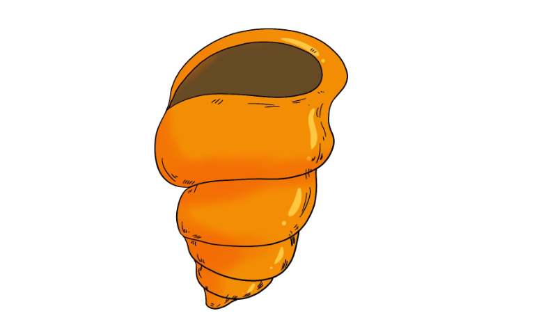 好看的螺蛳简笔画 好看的螺蛳简笔画怎么画