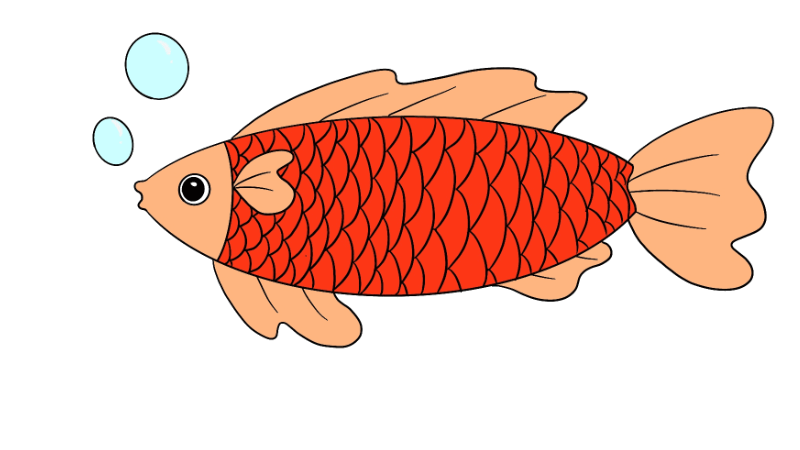 红色鲤鱼 简笔画图片