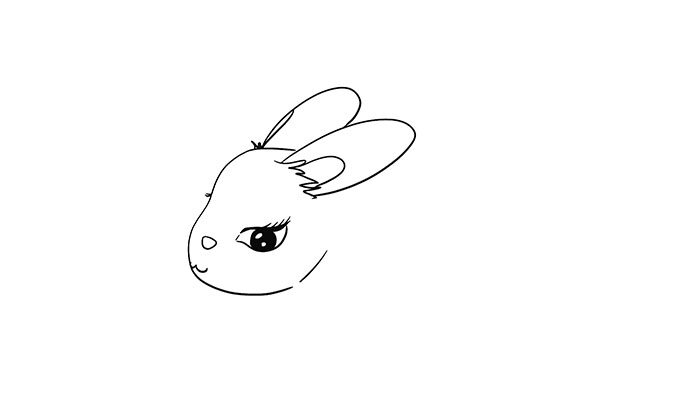 侧面的兔子简笔画可爱卡通 侧面的兔子简笔画可爱卡通怎么画