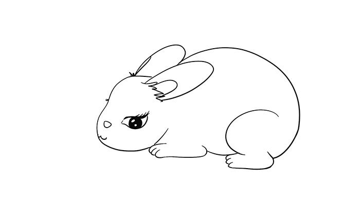 侧面的兔子简笔画可爱卡通 侧面的兔子简笔画可爱卡通怎么画